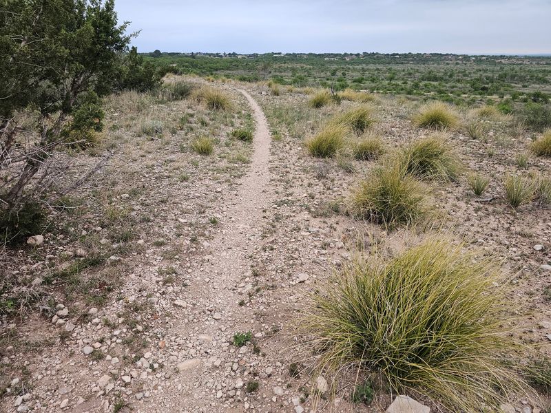 Fifty Miles Of Trails And How To Walk Them Smartly Fifty Miles Of Trails And How To Walk Them Smartly
