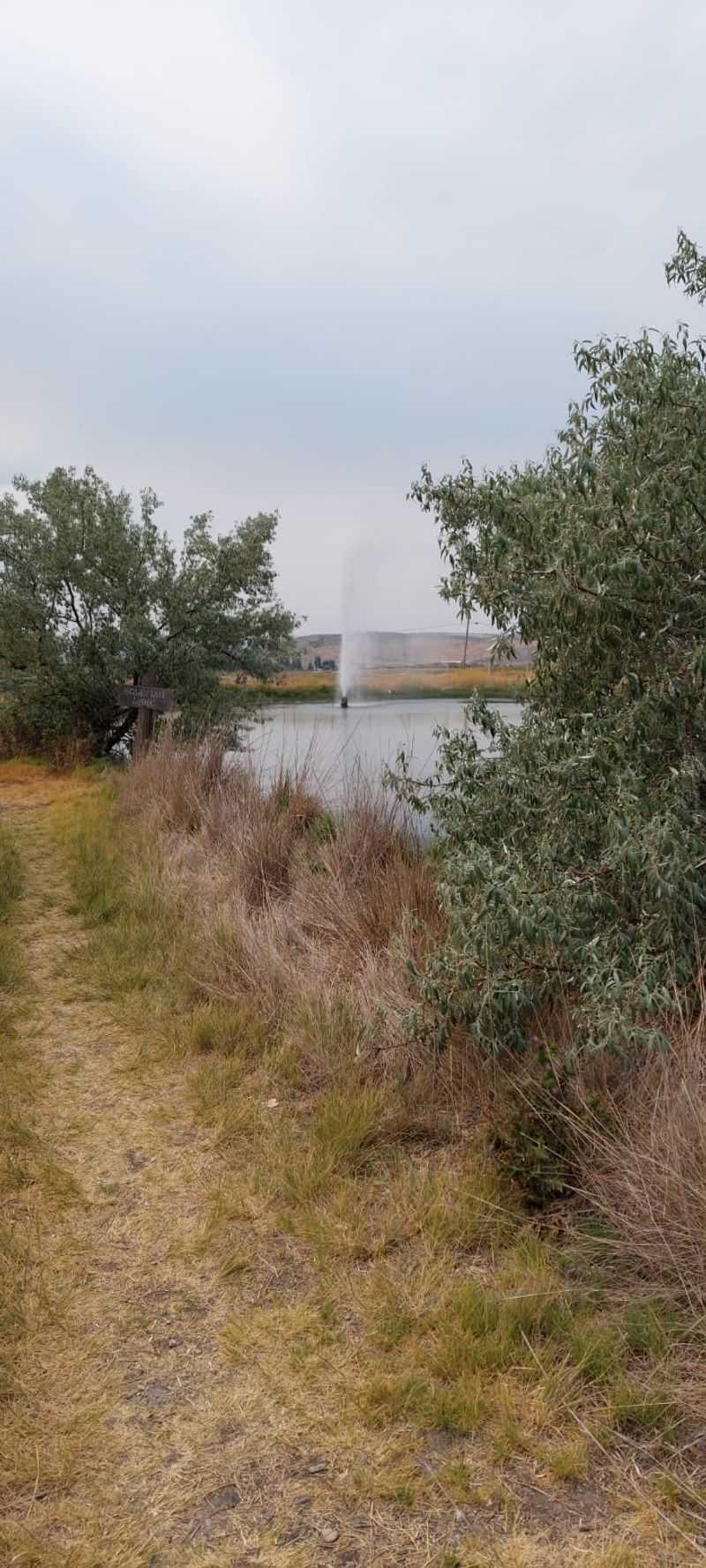 Finding the Geyser Takes a Little Detective Work Finding the Geyser Takes a Little Detective Work