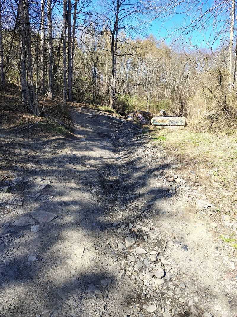 Finding the Trail Without Losing Your Mind