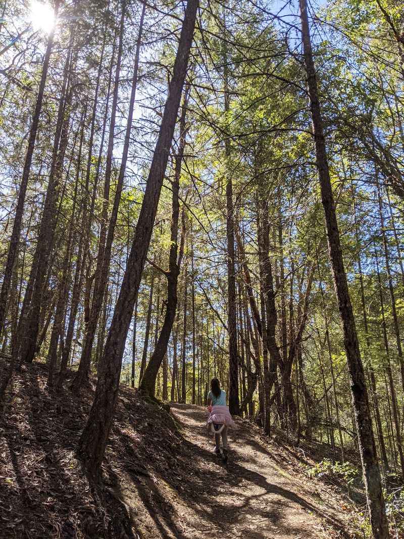 Finding the Trailhead and Following the Path