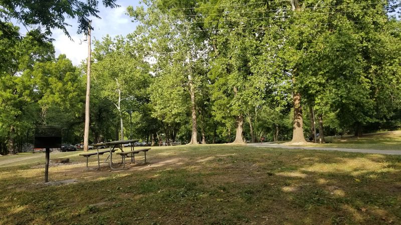 Fishing Lines, Picnic Tables, And Slow Afternoons