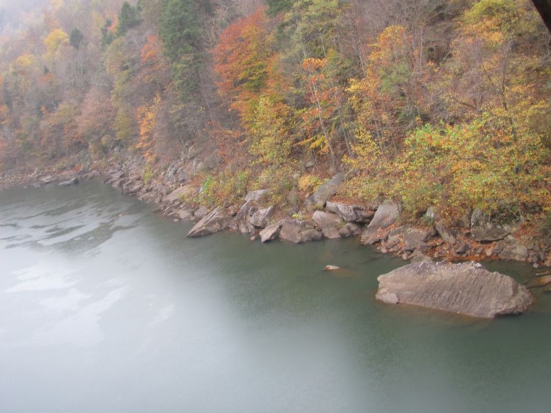 Fishing Lines and Fall Colors