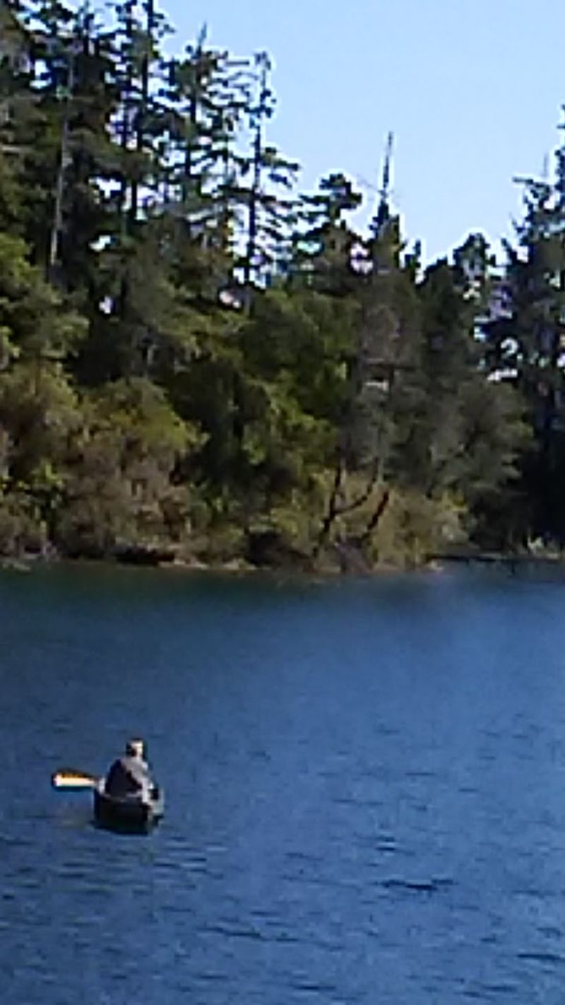 Fishing Quietly From Shore Or Boat