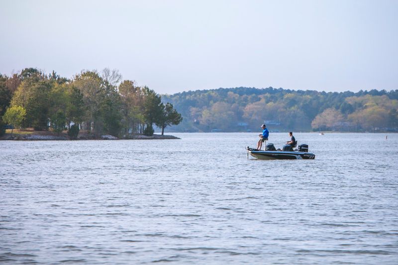 Fishing Spots That Double as Prime Snake Territory