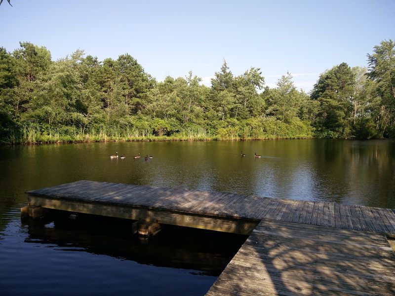 Fishing Spots Worth Setting An Alarm For