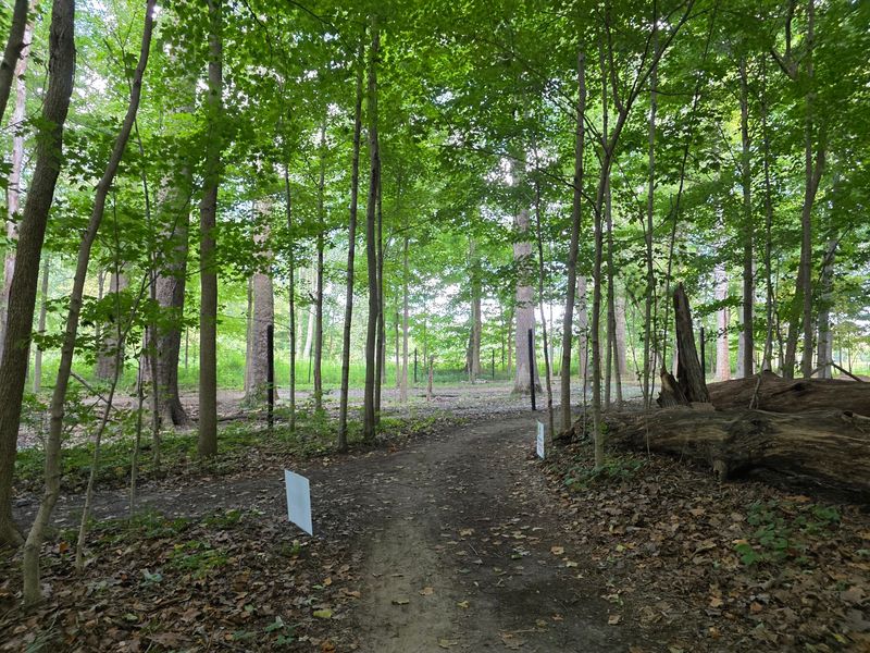 Five Miles of Trails, Plus an Ancient Sand Dune