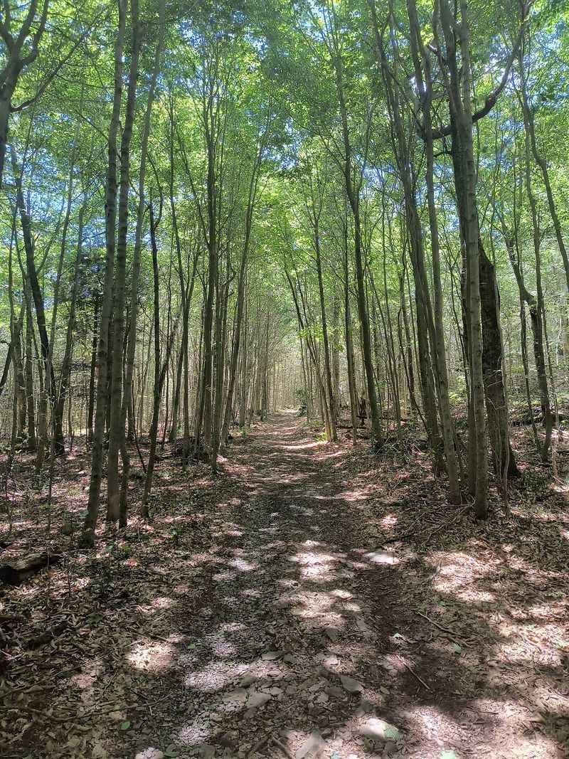 Flat Gravel Trails That Loop the Whole Peninsula