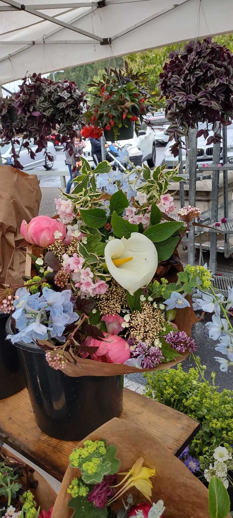 Flowers, Plant Starts And A Splash Of Color Flowers, Plant Starts And A Splash Of Color