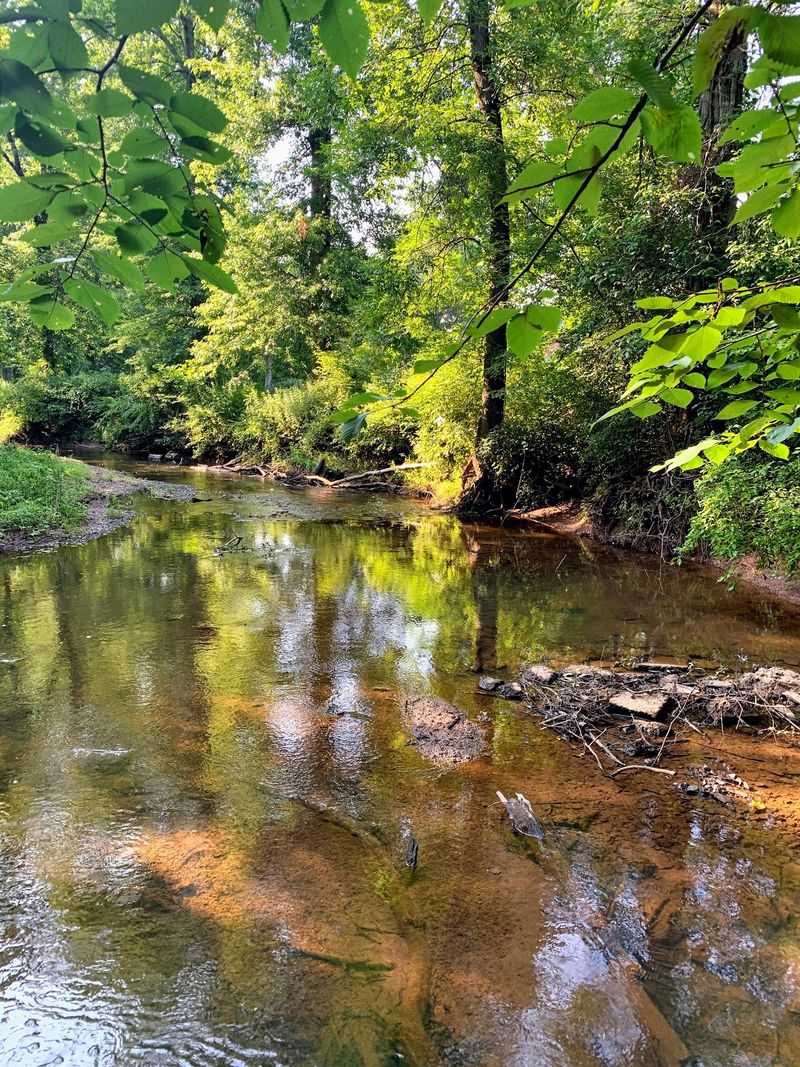 Following the Creek That Named It All Following the Creek That Named It All