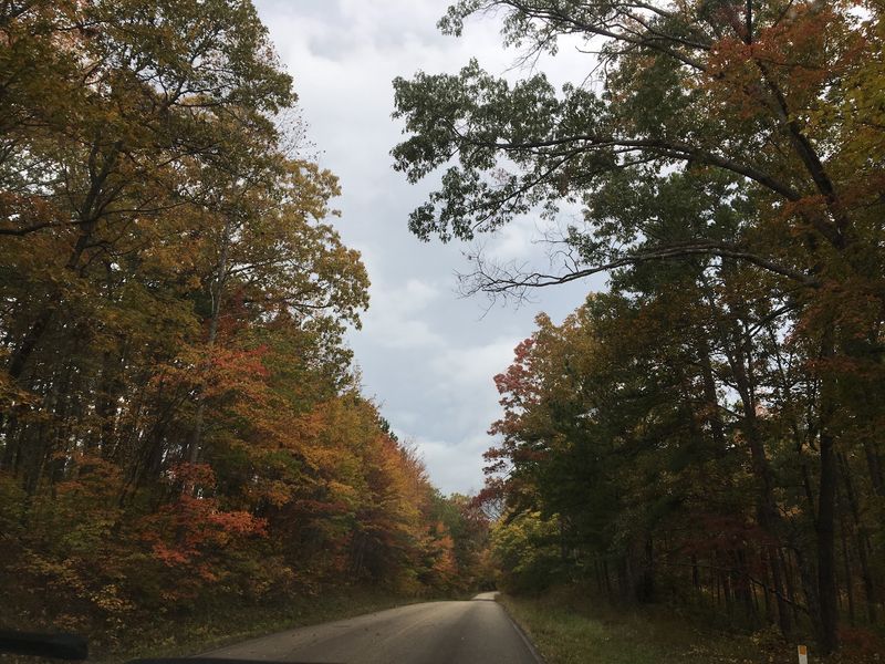 Forty-Five Simple Campsites and Not Much Else
