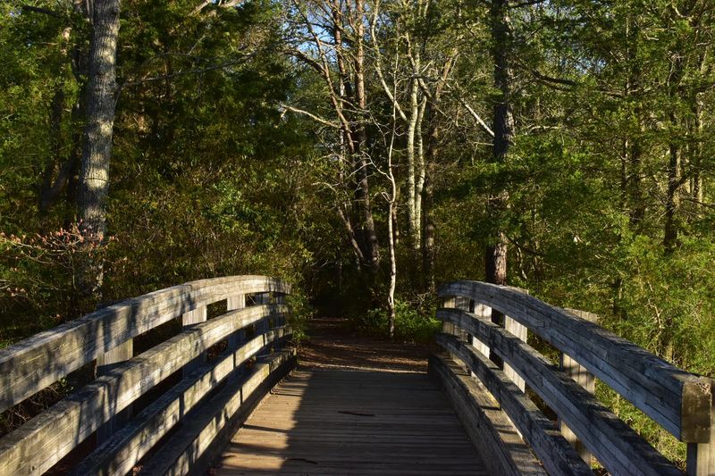 Forty Miles Of Trails And Counting