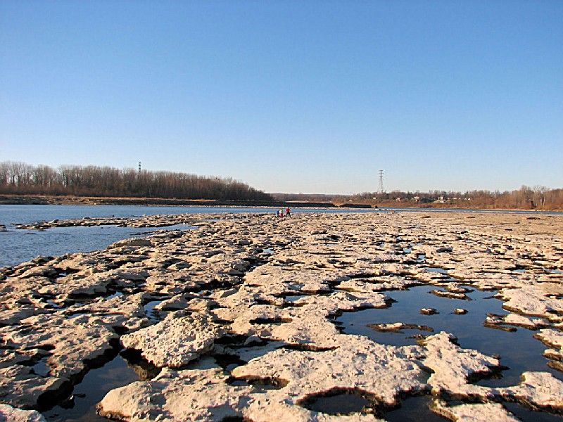 Fossil Beds at the Falls of the Ohio State Park, Clarksville Fossil Beds at the Falls of the Ohio State Park, Clarksville
