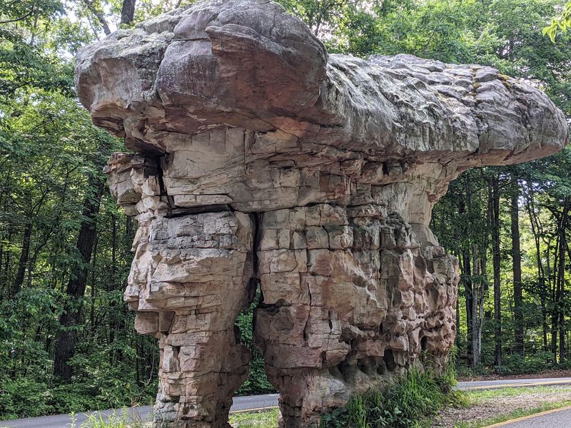 Fossils, Sandstone, and a River That Runs on a Mountaintop