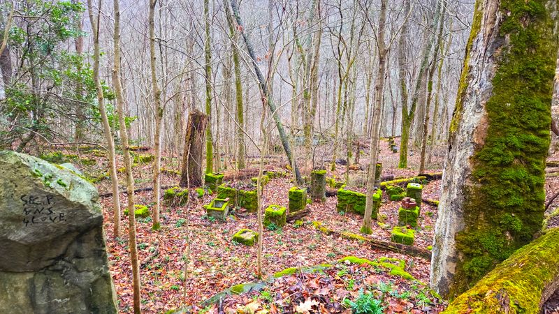 Foundations of a Vanished Community Foundations of a Vanished Community