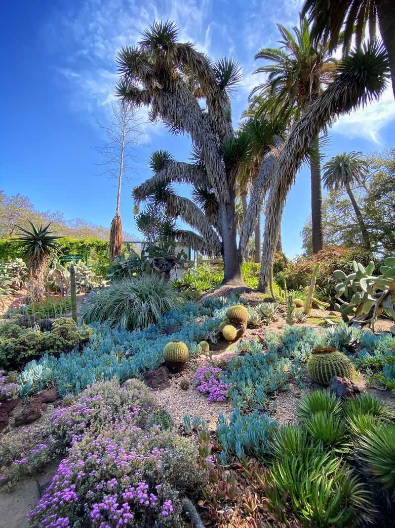 Four Acres of Blooms, Spines, and Shade