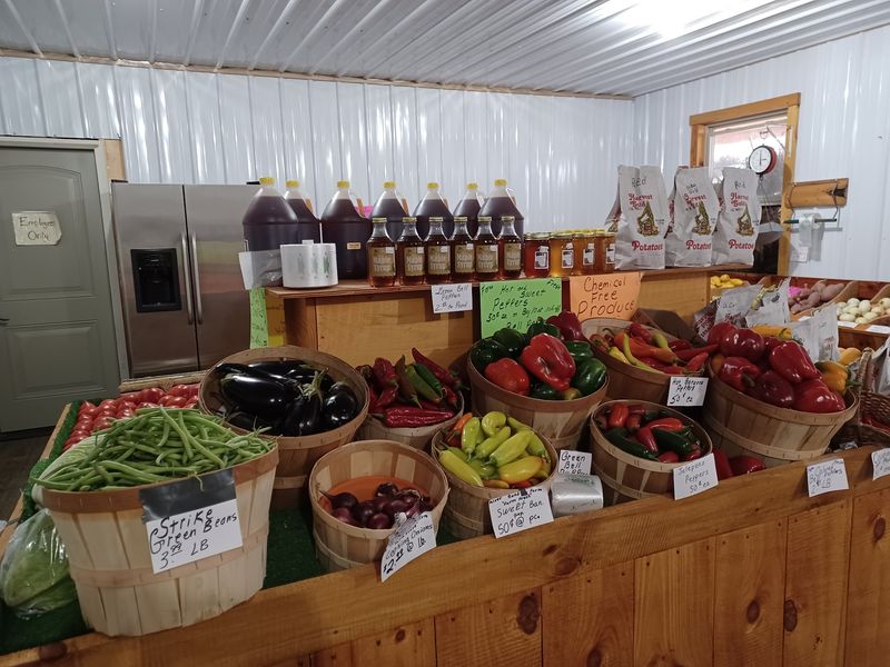 Fresh-Picked Produce Straight From the Fields Fresh-Picked Produce Straight From the Fields