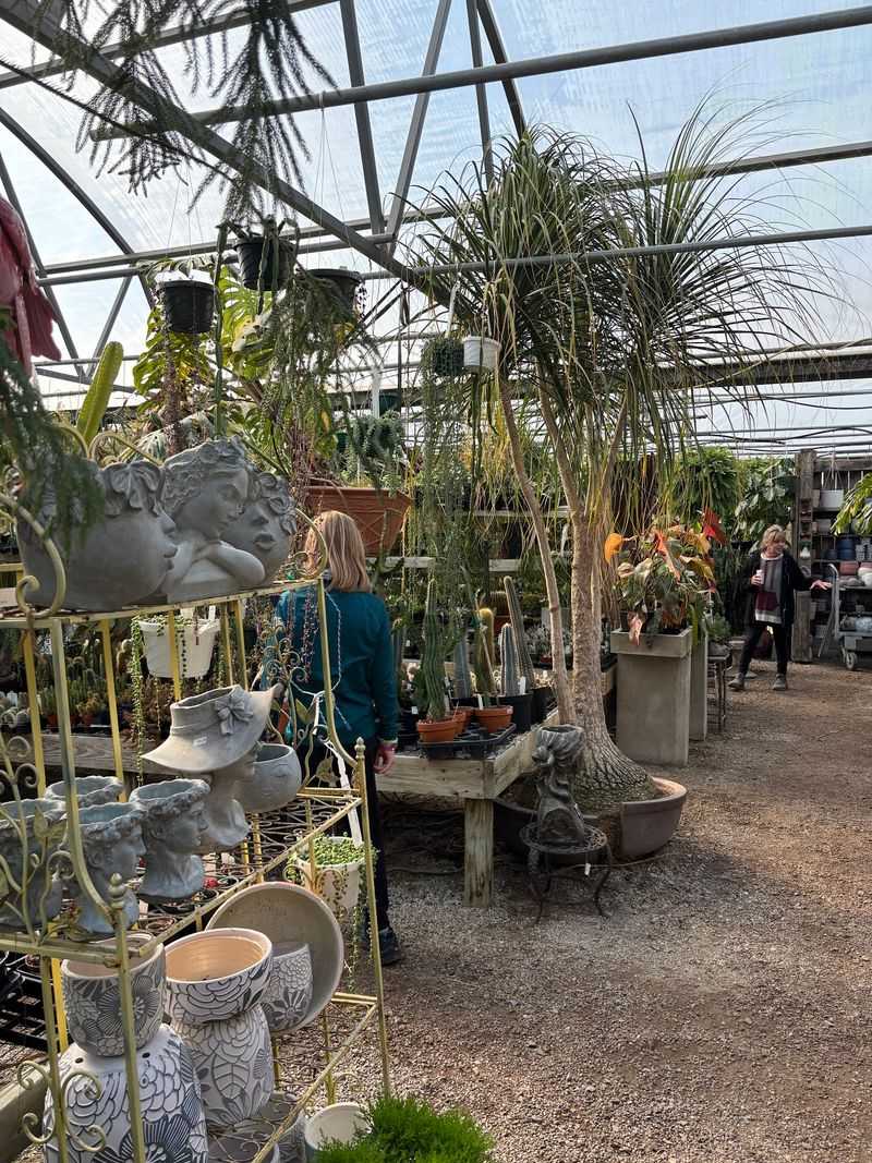 Friendly Experts Who Actually Know Their Plants Friendly Experts Who Actually Know Their Plants