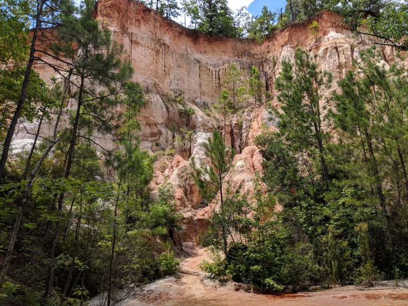 From Farm Failure to Georgia Treasure From Farm Failure to Georgia Treasure