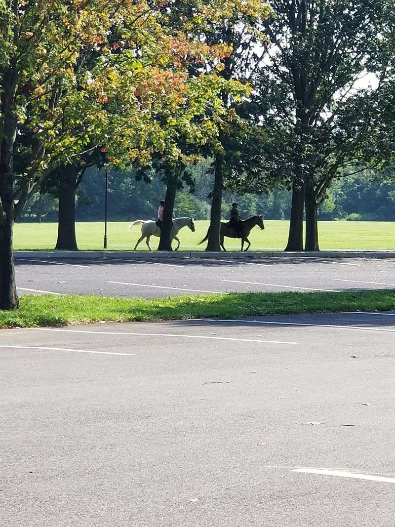From Racehorses to Rolling Meadows From Racehorses to Rolling Meadows