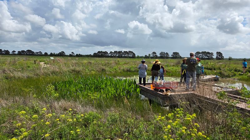 From Research Farm To Restored Prairie