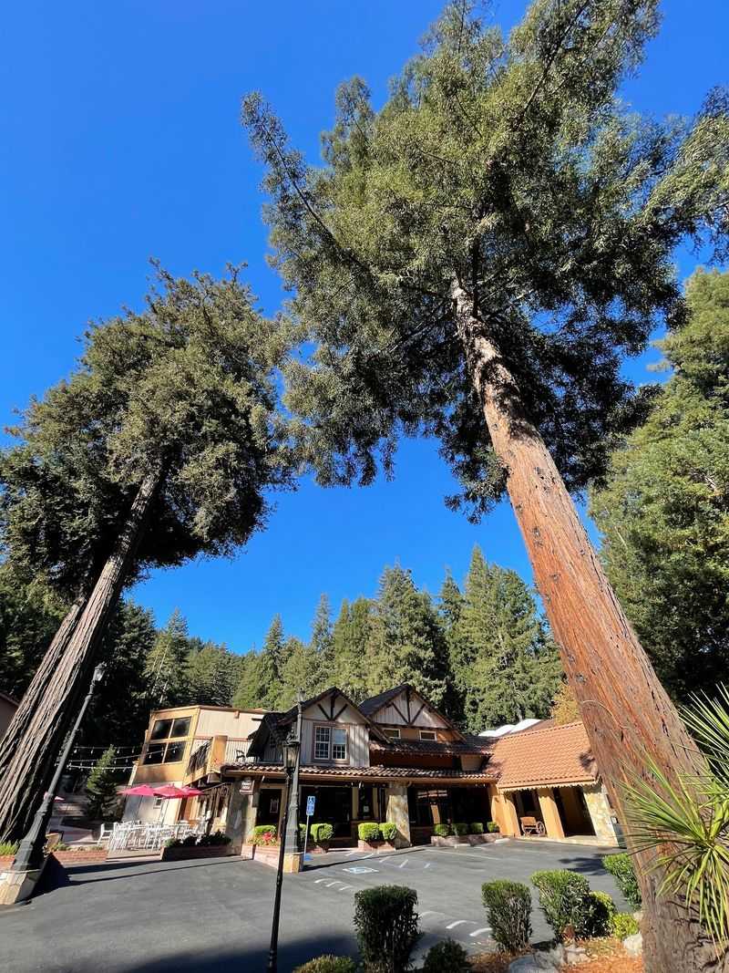 From Sawmill to Mountain Hideaway From Sawmill to Mountain Hideaway