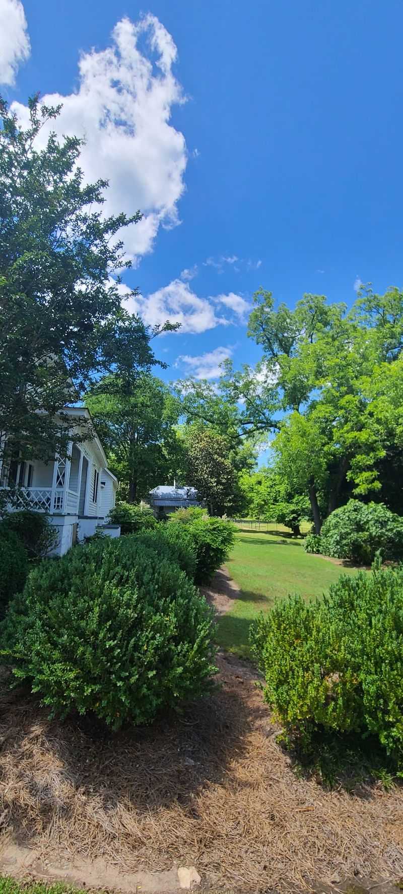 Gardens Laid Out by an English Hand