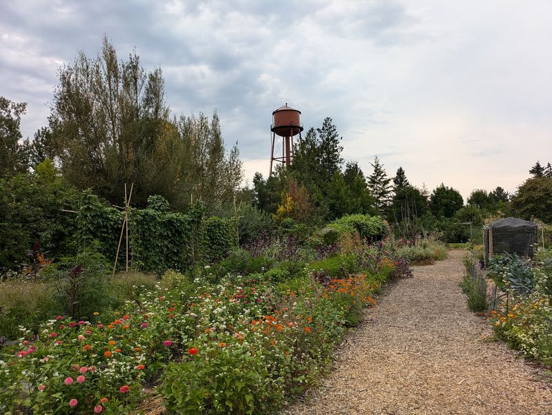 Gardens, Orchards and Wandering Paths