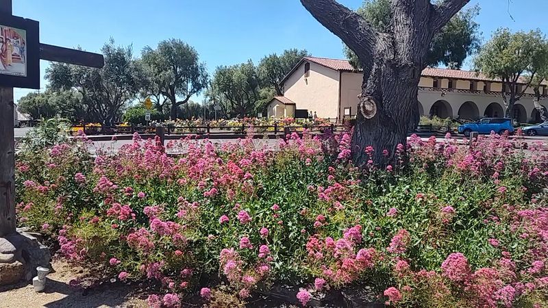Gardens, Roses, and a View That Stops You Gardens, Roses, and a View That Stops You