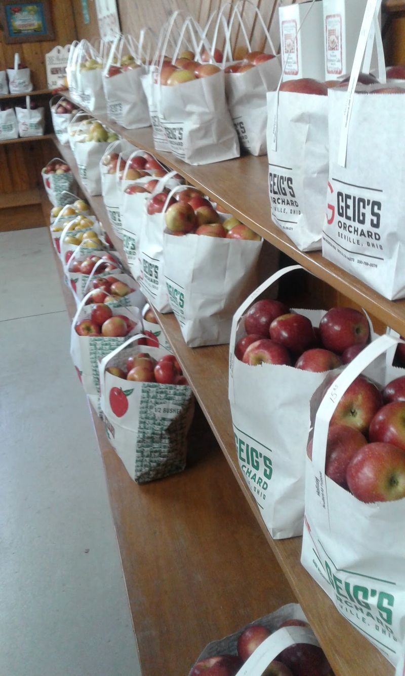 Geig's Orchard (Seville, OH)