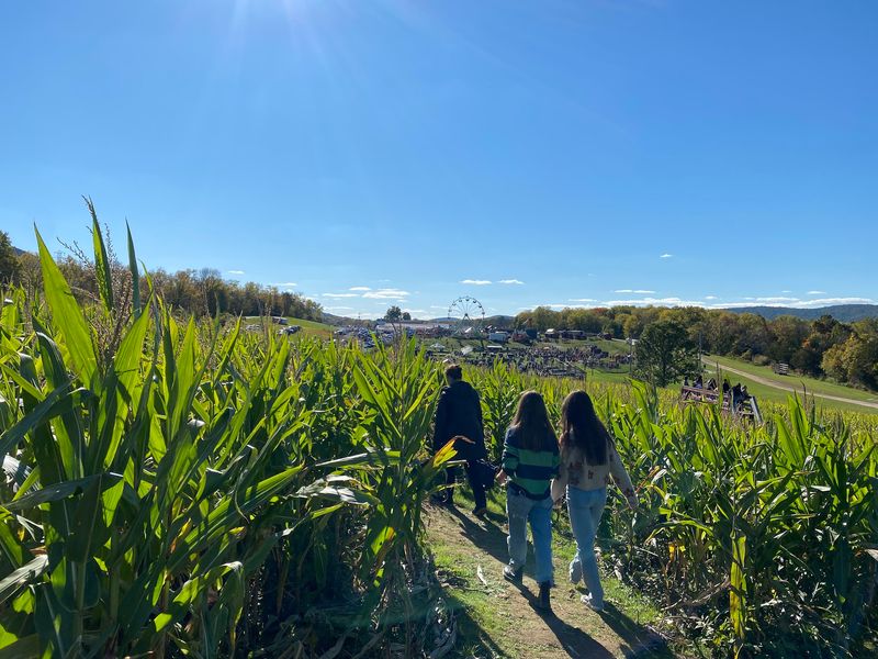 Getting Happily Lost in the Themed Corn Maze