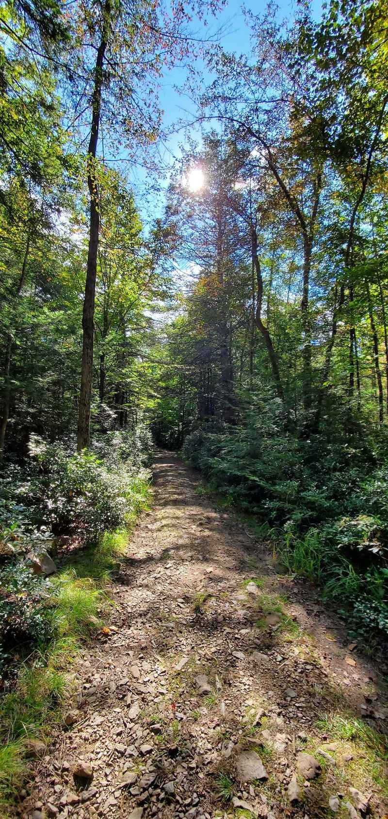 Getting There Means a Gravel Road or a Long Trail Getting There Means a Gravel Road or a Long Trail
