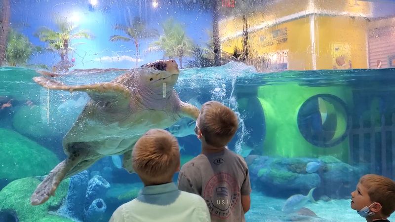 Getting Your Hands Wet In The EcoZone