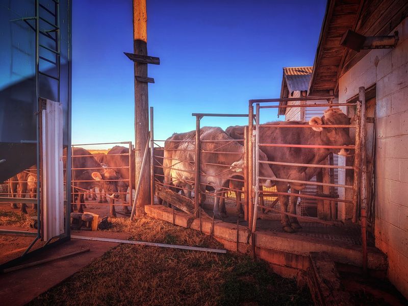 Getting on the Milk List