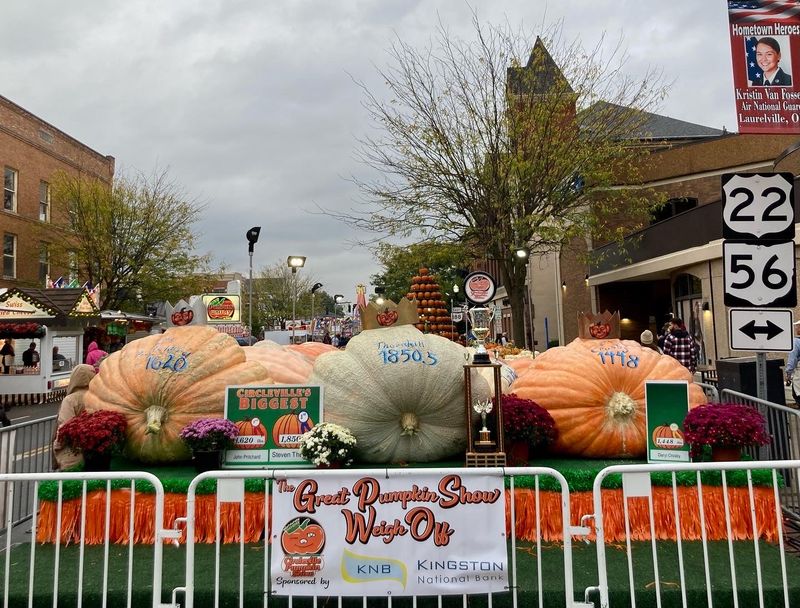 Giant Pumpkins That Steal the Spotlight Giant Pumpkins That Steal the Spotlight