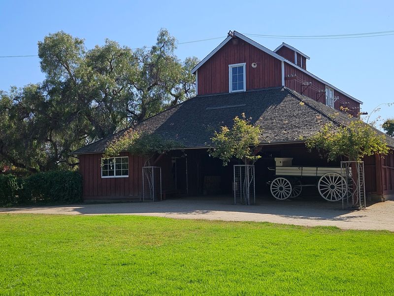 Gold Rush Beef, a Brutal Drought, and a New Family