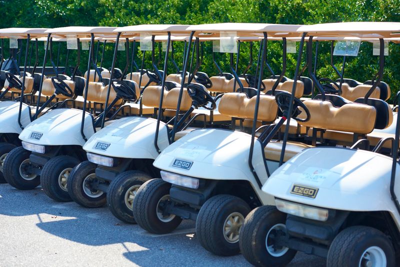 Golf Cart Cruising Like You Own The Place Golf Cart Cruising Like You Own The Place