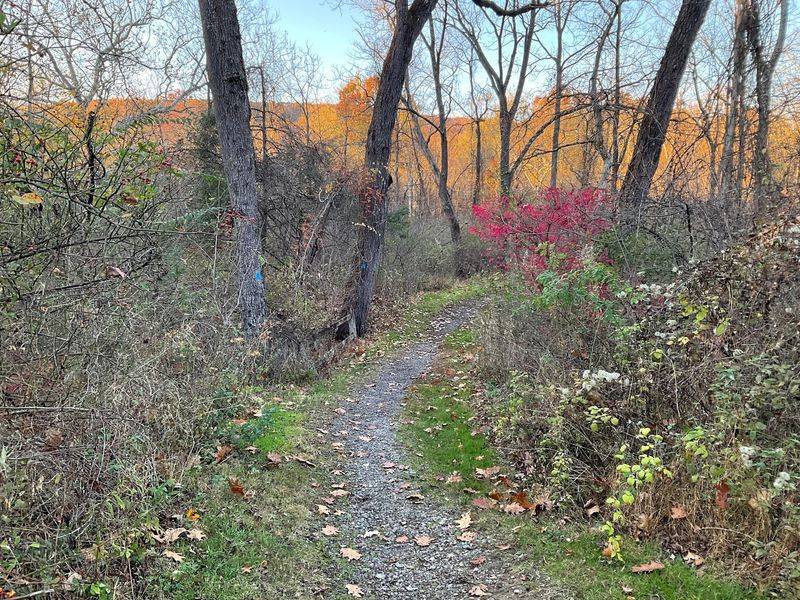 Grand Loop Trail for an Easygoing Autumn Walk Grand Loop Trail for an Easygoing Autumn Walk