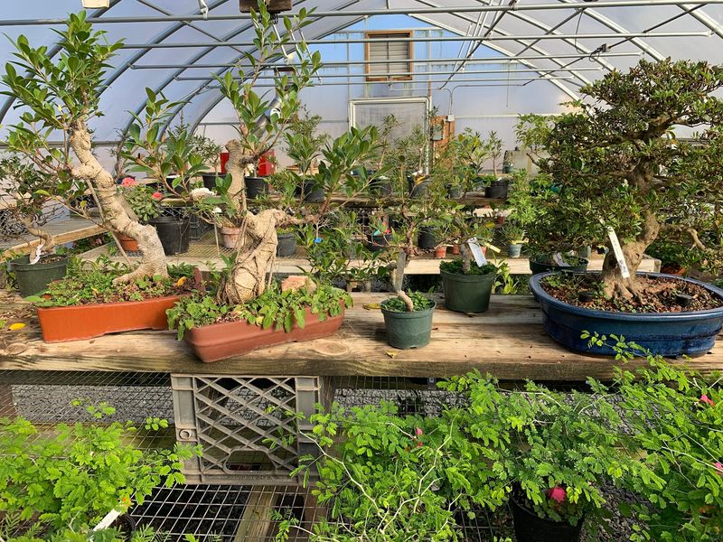 Greenhouses And Open Air Benches Working Together