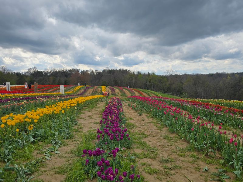 Greenhouses Bursting With Blooms and Starter Plants Greenhouses Bursting With Blooms and Starter Plants