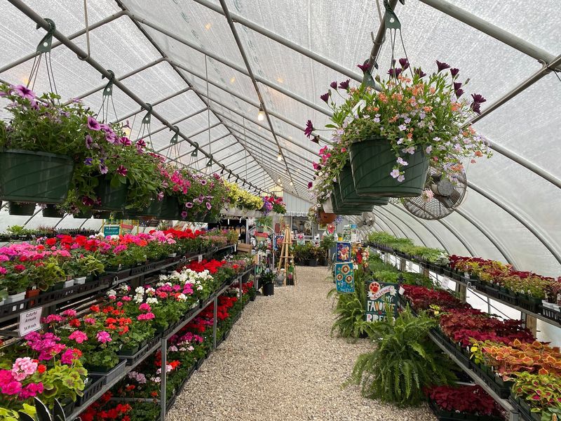 Greenhouses Bursting With Color Through Every Season Greenhouses Bursting With Color Through Every Season