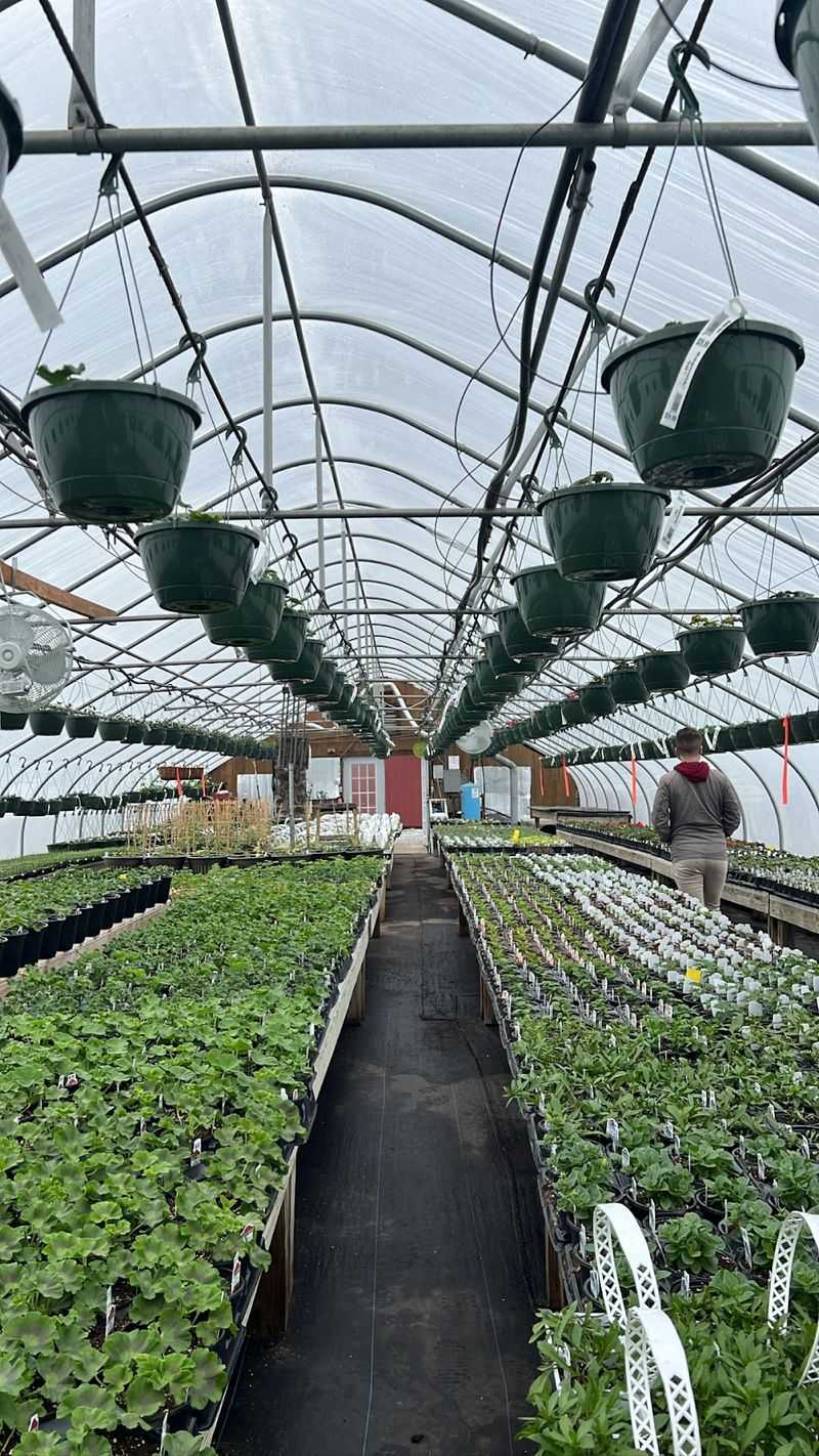 Greenhouses Stacked With Rare Finds Greenhouses Stacked With Rare Finds