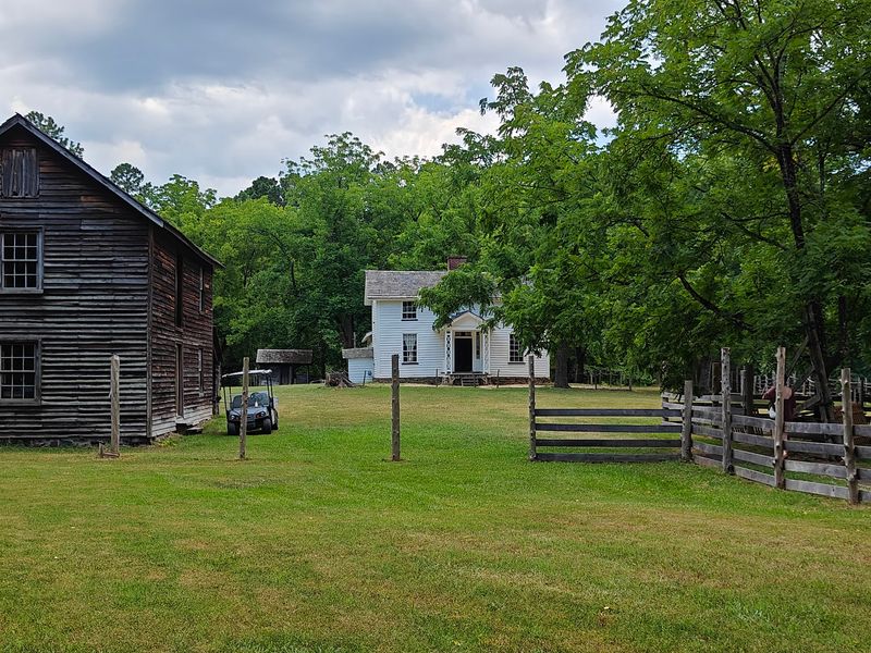 Guided Tours Worth Planning Around