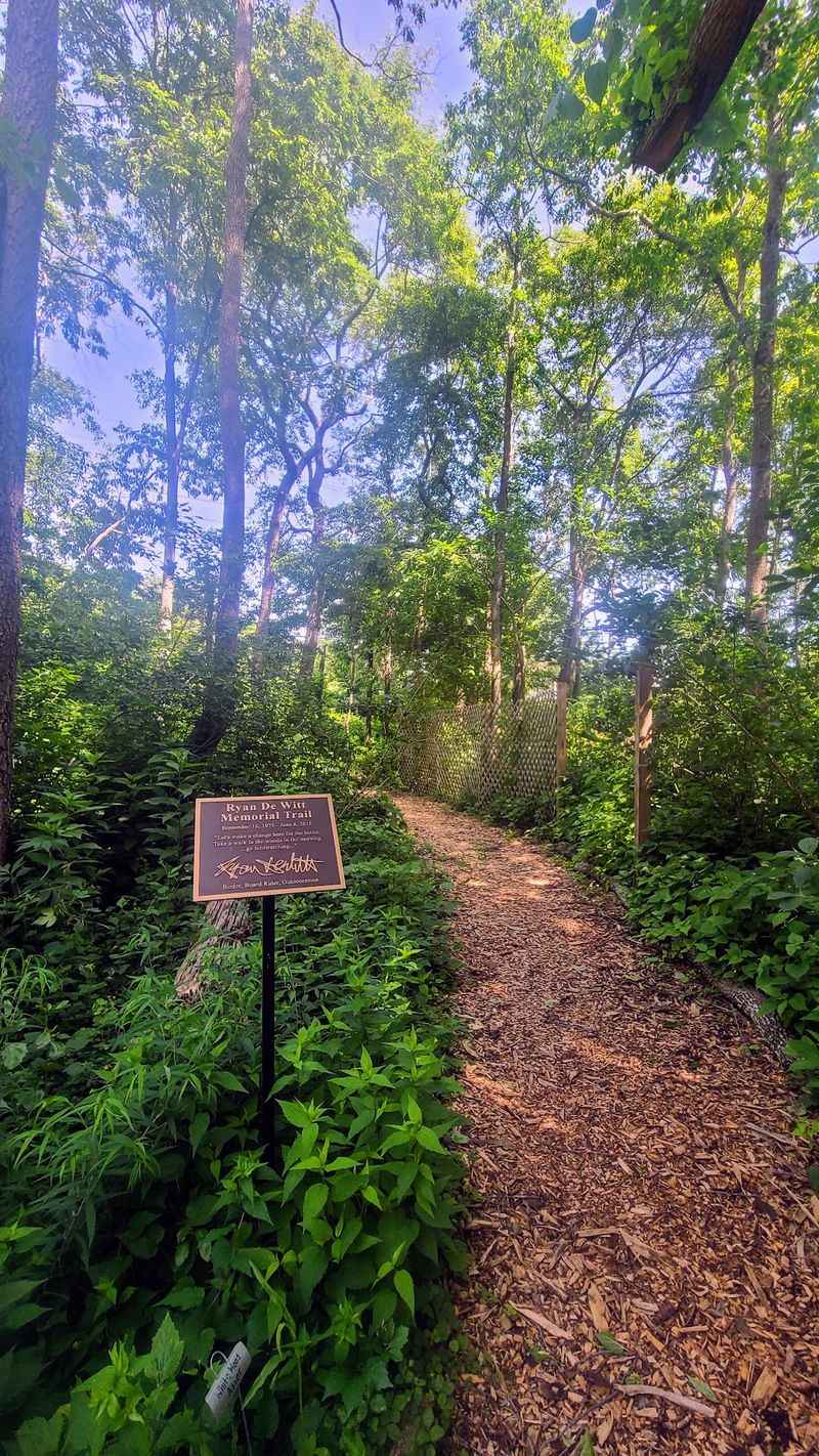 Guided Walks Led By Naturalists