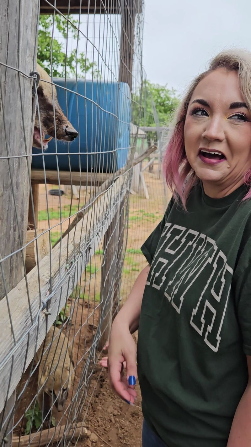 Guides Who Actually Know Their Animals Guides Who Actually Know Their Animals