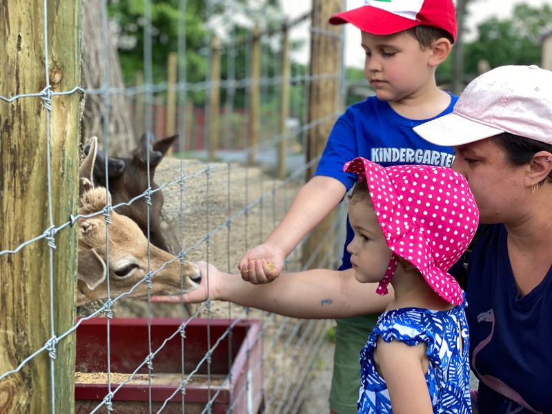 Hand-Feeding More Than Half the Residents
