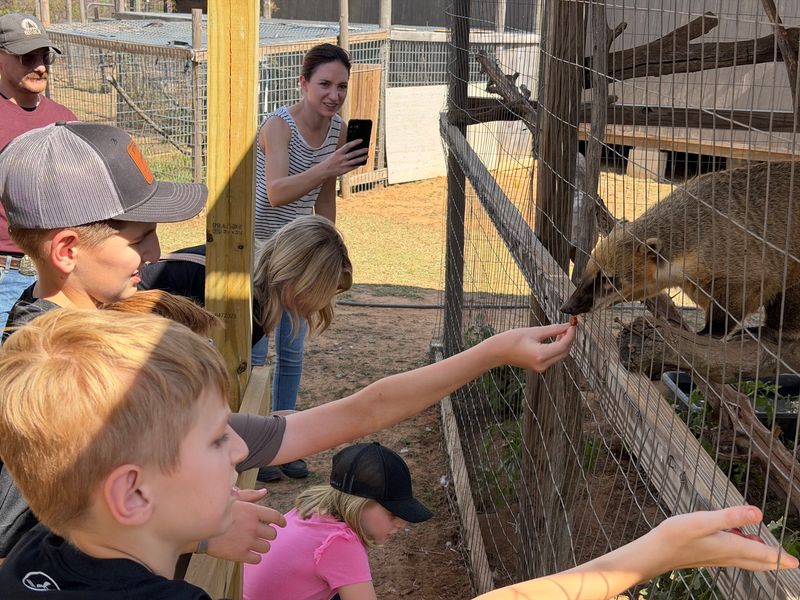 Hand-Feeding Treats To Creatures You'd Normally Avoid Hand-Feeding Treats To Creatures You'd Normally Avoid