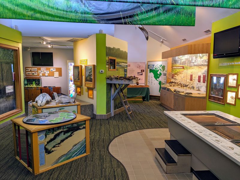 Hands-On Programs Built For Curious Minds Of Every Age