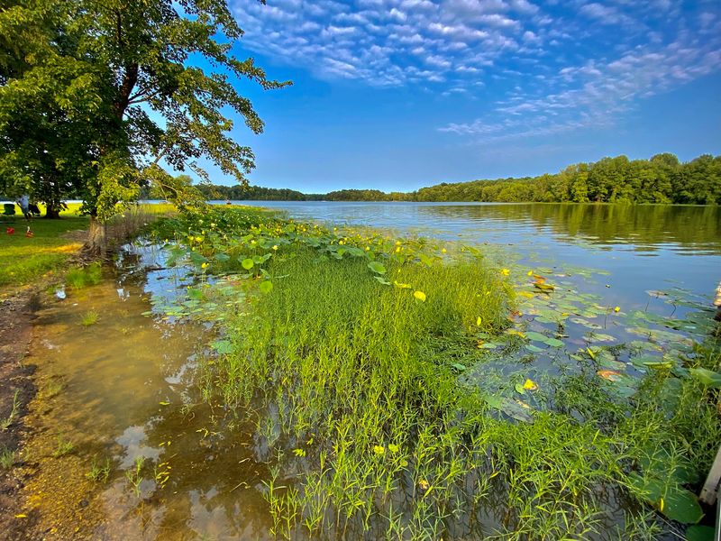 Hardy Lake State Recreation Area, Scottsburg
