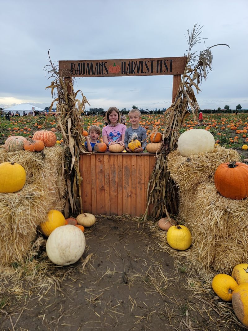 Harvest Festival Season Arrives With The First Cool Mornings