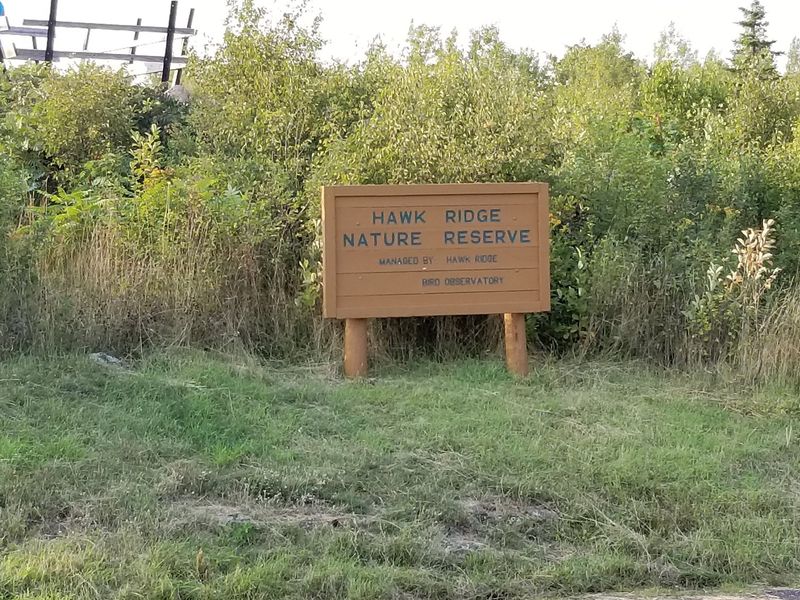Hawk Ridge Bird Observatory, Duluth Hawk Ridge Bird Observatory, Duluth